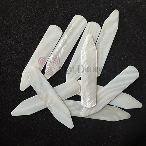 Sản phẩm vỏ sò khác